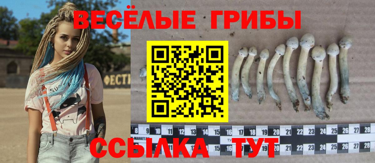 Галлюциногенные грибы Psilocybine cubensis  Галлюциногенные грибы мицелий  Вышний Волочёк  Вход с VPN 