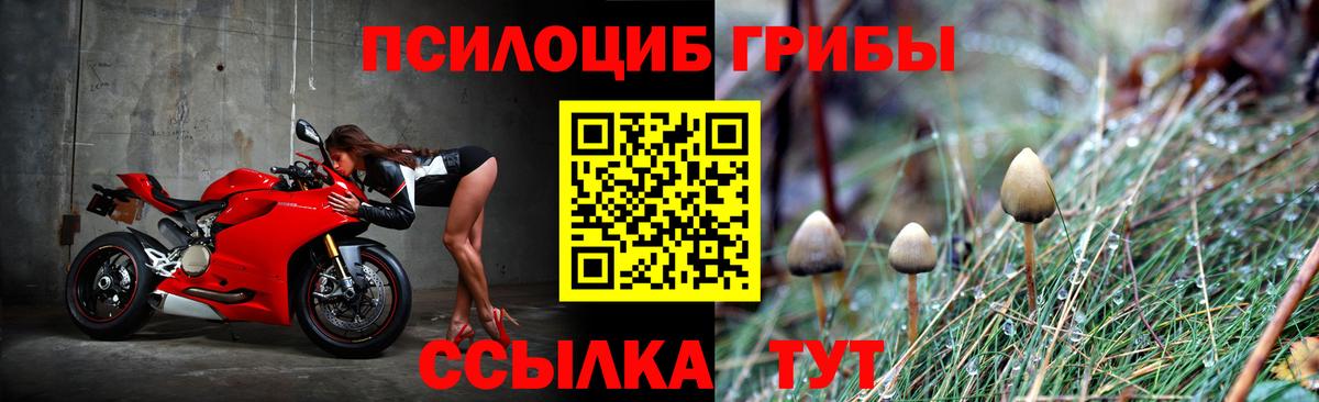 Псилоцибиновые грибы Magic Shrooms Вышний Волочёк
