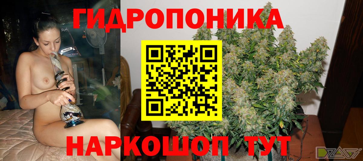 Марихуана OG Kush  Марихуана LSD WEED  Вышний Волочёк  Вход с VPN  Бошки Шишки LSD WEED 